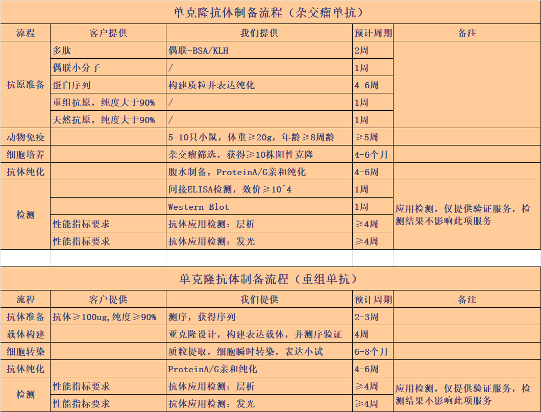 单克隆抗体制备流程.png