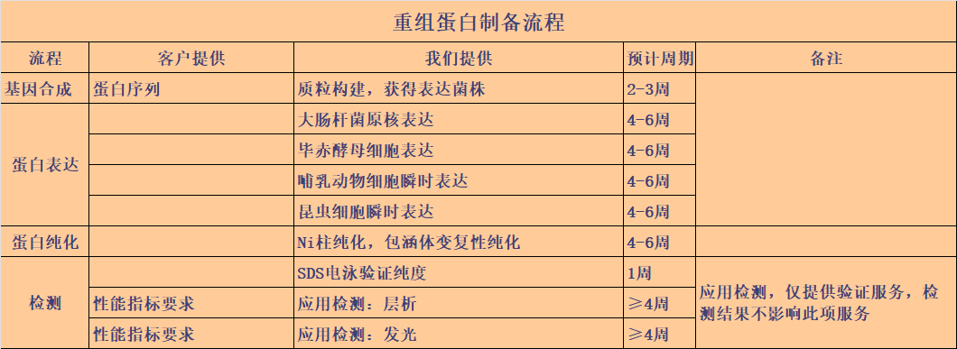 重组蛋白制备流程.png